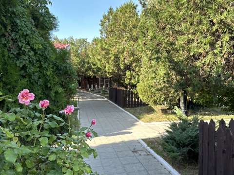 База отдыха «Динамо-1»