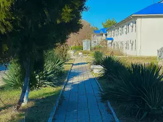 База отдыха «Динамо-3», г. Анапа