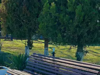 База отдыха «Динамо-3», г. Анапа