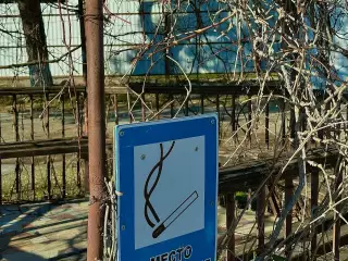 База отдыха «Динамо-3», г. Анапа