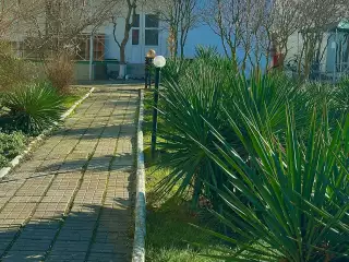 База отдыха «Динамо-3», г. Анапа