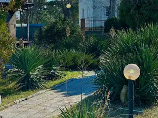 База отдыха «Динамо-3», г. Анапа