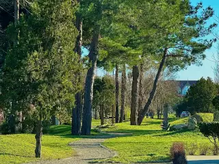 База отдыха «Динамо-3», г. Анапа