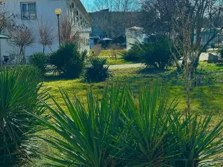 База отдыха «Динамо-3», г. Анапа