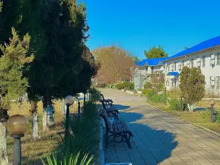 База отдыха «Динамо-3», г. Анапа