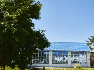 База отдыха «Динамо-3», г. Анапа