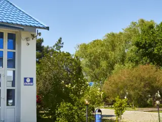 База отдыха «Динамо-3», г. Анапа