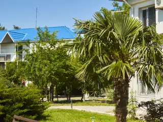 База отдыха «Динамо-3», г. Анапа